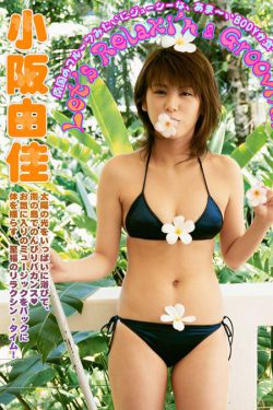 大道争锋txt下载